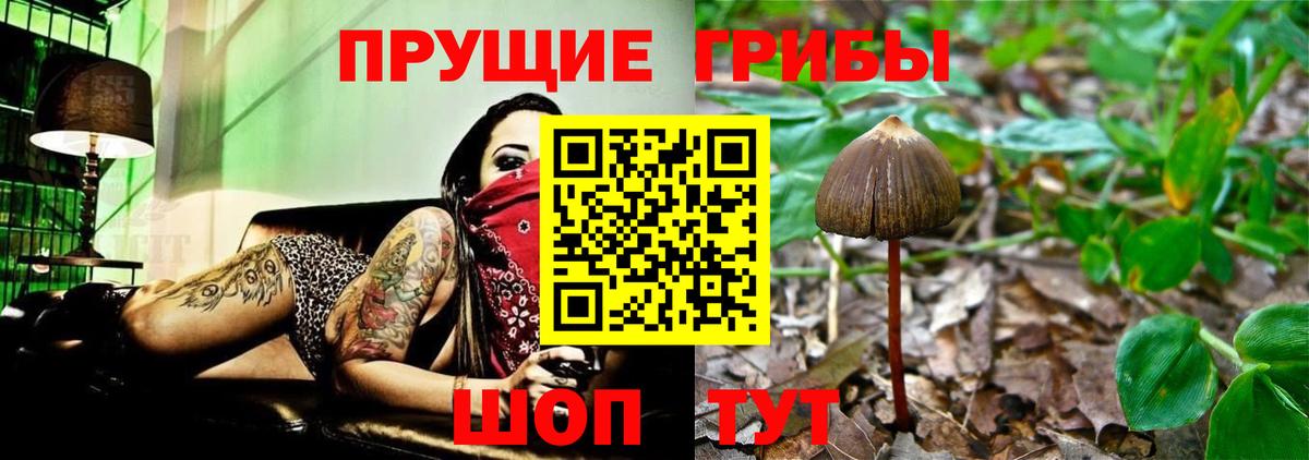 Губаха  Галлюциногенные грибы GOLDEN TEACHER  Вход с VPN 